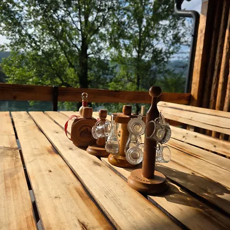 펜션 Gaga Vikendica *